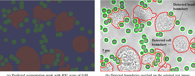 Figure 3 for Deep Learning-Based Semantic Segmentation of Microscale Objects