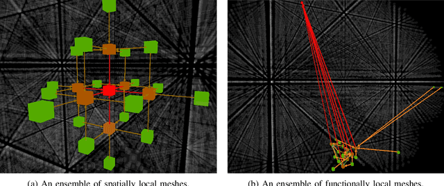 Figure 3 for Modeling the Sequence of Brain Volumes by Local Mesh Models for Brain Decoding