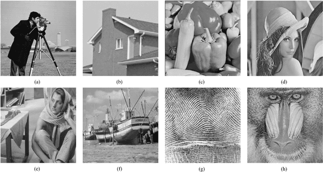 Figure 1 for DOLPHIn - Dictionary Learning for Phase Retrieval