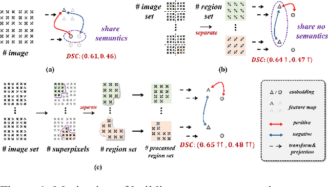 Figure 1 for Separated Contrastive Learning for Organ-at-Risk and Gross-Tumor-Volume Segmentation with Limited Annotation