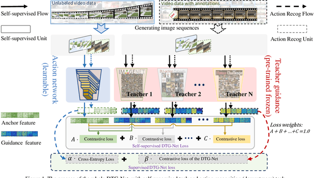 Figure 1 for DTG-Net: Differentiated Teachers Guided Self-Supervised Video Action Recognition