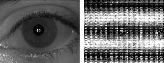 Figure 3 for A Benchmark for Iris Location and a Deep Learning Detector Evaluation