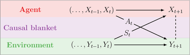 Figure 2 for Causal blankets: Theory and algorithmic framework