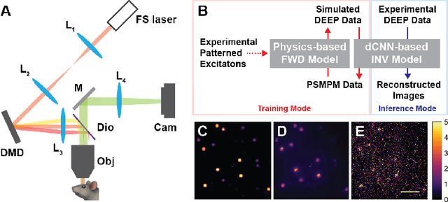 Figure 1 for DEEP$^2$: Deep Learning Powered De-scattering with Excitation Patterning