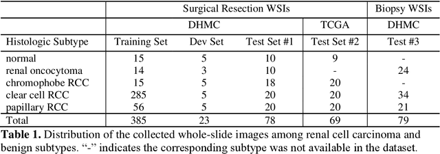 Figure 1 for Development and Evaluation of a Deep Neural Network for Histologic Classification of Renal Cell Carcinoma on Biopsy and Surgical Resection Slides