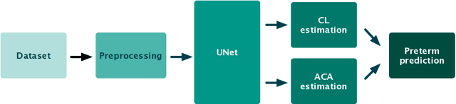Figure 1 for Estimation of preterm birth markers with U-Net segmentation network