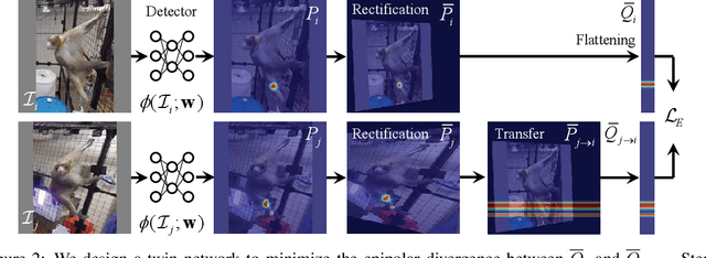 Figure 3 for MONET: Multiview Semi-supervised Keypoint via Epipolar Divergence