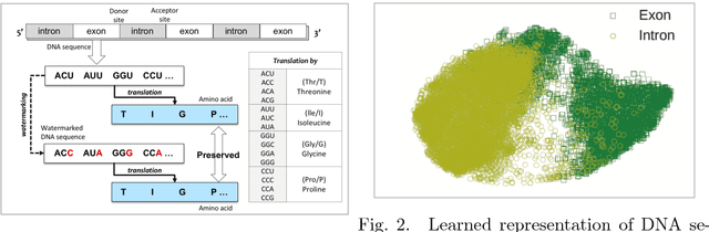Figure 2 for DNA Steganalysis Using Deep Recurrent Neural Networks