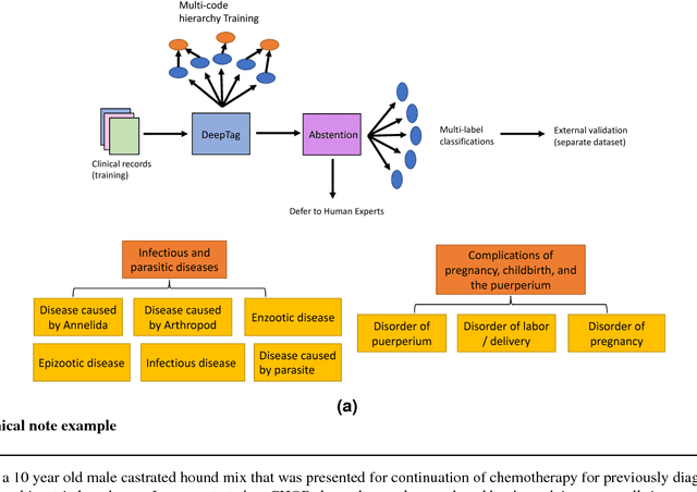Figure 1 for DeepTag: inferring all-cause diagnoses from clinical notes in under-resourced medical domain