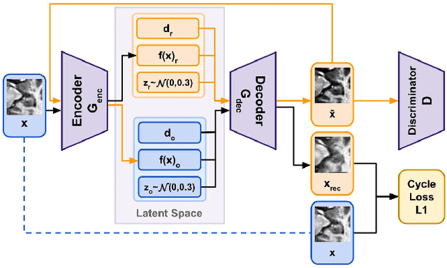 Figure 2 for Disentanglement enables cross-domain Hippocampus Segmentation