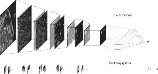 Figure 2 for Deep Learning in Cardiology