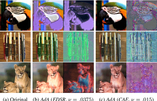 Figure 1 for Defending Against Image Corruptions Through Adversarial Augmentations