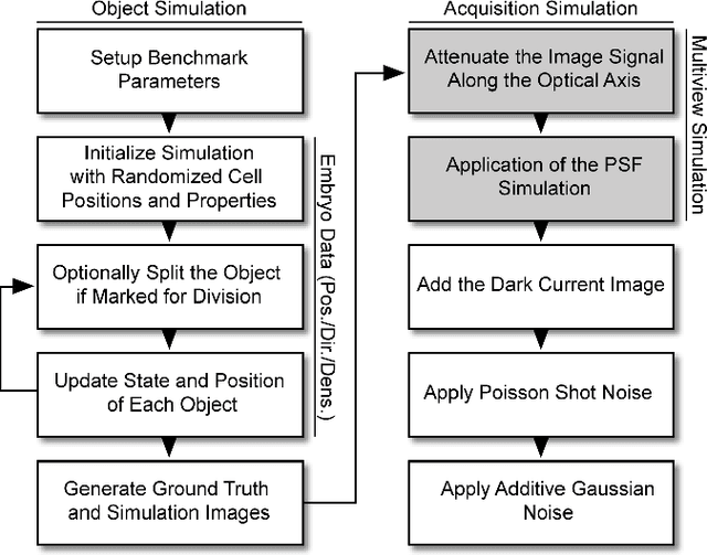Figure 1 for Generating Semi-Synthetic Validation Benchmarks for Embryomics