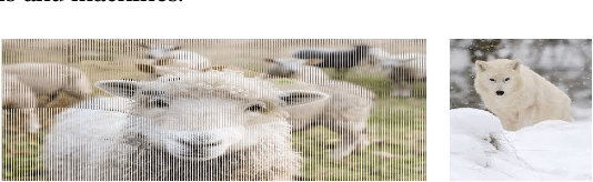 Figure 1 for Decamouflage: A Framework to Detect Image-Scaling Attacks on Convolutional Neural Networks