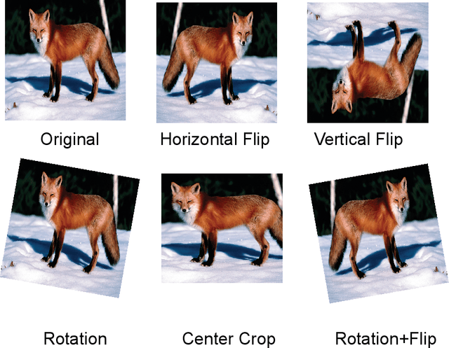 Figure 3 for On effects of Knowledge Distillation on Transfer Learning