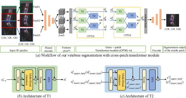 Figure 3 for Universal Segmentation of 33 Anatomies