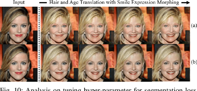 Figure 2 for Segmentation Guided Image-to-Image Translation with Adversarial Networks