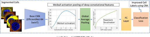 Figure 2 for Subcellular Protein Localisation in the Human Protein Atlas using Ensembles of Diverse Deep Architectures