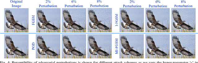 Figure 4 for Orthogonal Deep Models As Defense Against Black-Box Attacks