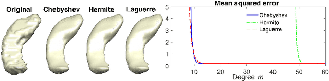 Figure 1 for Fast Polynomial Approximation of Heat Diffusion on Manifolds and Its Application to Brain Sulcal and Gyral Graph Pattern Analysis