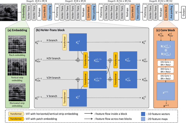 Figure 2 for HoVer-Trans: Anatomy-aware HoVer-Transformer for ROI-free Breast Cancer Diagnosis in Ultrasound Images