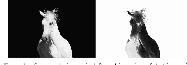 Figure 1 for PowerLinear Activation Functions with application to the first layer of CNNs