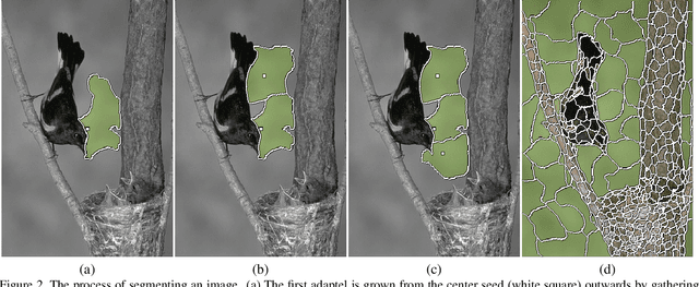 Figure 3 for Uniform Information Segmentation