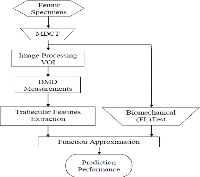 Figure 1 for Introducing Anisotropic Minkowski Functionals for Local Structure Analysis and Prediction of Biomechanical Strength of Proximal Femur Specimens