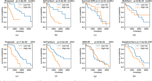Figure 3 for AMMASurv: Asymmetrical Multi-Modal Attention for Accurate Survival Analysis with Whole Slide Images and Gene Expression Data