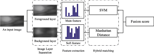 Figure 2 for From Noise to Feature: Exploiting Intensity Distribution as a Novel Soft Biometric Trait for Finger Vein Recognition