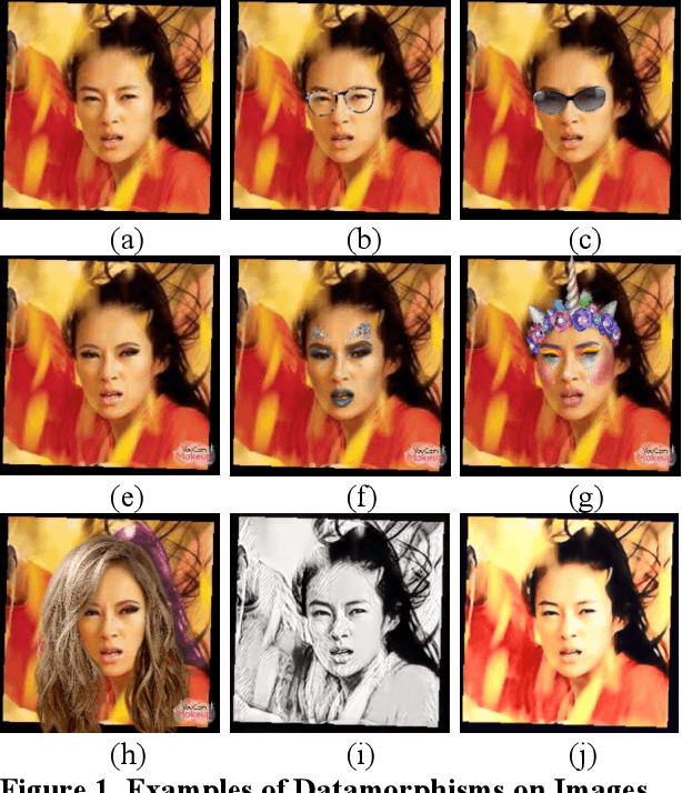 Figure 1 for Datamorphic Testing: A Methodology for Testing AI Applications