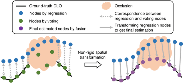 Figure 4 for Learning to Occlusion-Robustly Estimate 3-D States of Deformable Linear Objects from Single-Frame Point Clouds