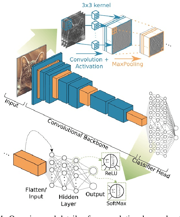 Figure 1 for Improving Model Accuracy for Imbalanced Image Classification Tasks by Adding a Final Batch Normalization Layer: An Empirical Study