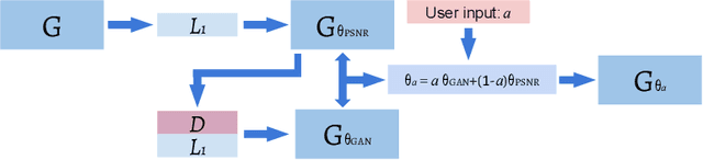 Figure 1 for Enhanced generative adversarial network for 3D brain MRI super-resolution