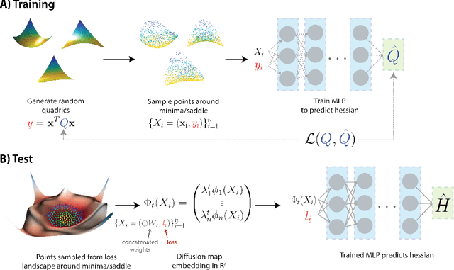 Figure 3 for Diffusion Curvature for Estimating Local Curvature in High Dimensional Data