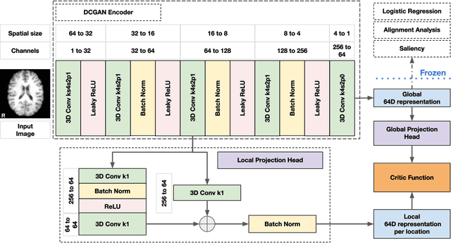 Figure 4 for Self-supervised multimodal neuroimaging yields predictive representations for a spectrum of Alzheimer's phenotypes