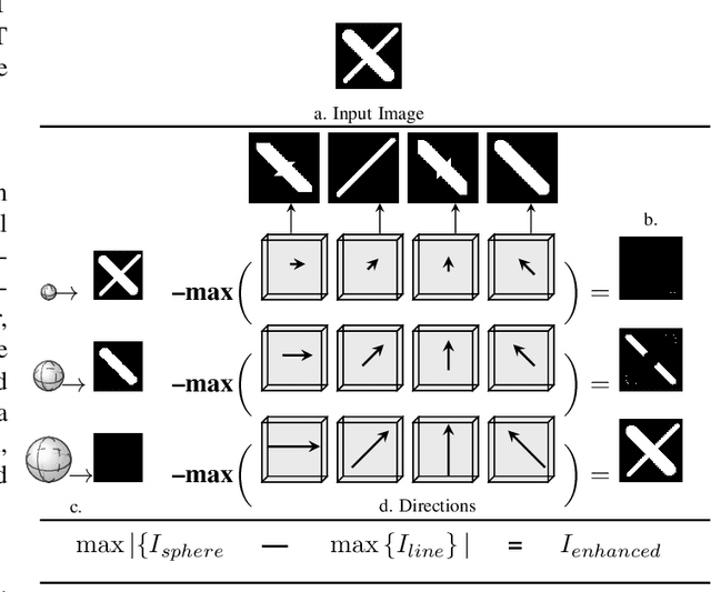 Figure 1 for The Multiscale Bowler-Hat Transform for Vessel Enhancement in 3D Biomedical Images