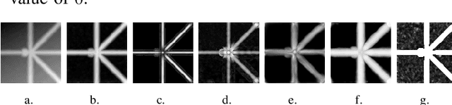Figure 4 for The Multiscale Bowler-Hat Transform for Vessel Enhancement in 3D Biomedical Images