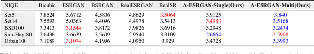 Figure 2 for A-ESRGAN: Training Real-World Blind Super-Resolution with Attention U-Net Discriminators