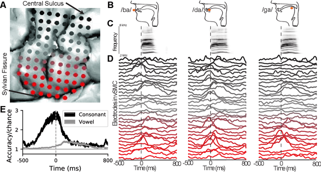 Figure 1 for Deep learning as a tool for neural data analysis: speech classification and cross-frequency coupling in human sensorimotor cortex