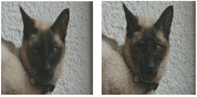 Figure 3 for Adversarial Examples and the Deeper Riddle of Induction: The Need for a Theory of Artifacts in Deep Learning