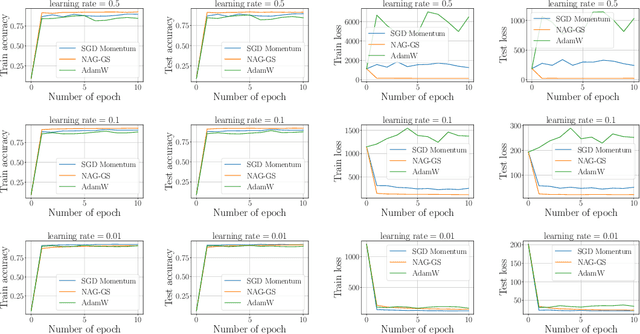 Figure 2 for NAG-GS: Semi-Implicit, Accelerated and Robust Stochastic Optimizers
