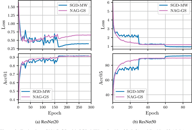 Figure 4 for NAG-GS: Semi-Implicit, Accelerated and Robust Stochastic Optimizers