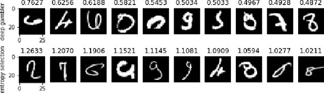 Figure 1 for Deep Gamblers: Learning to Abstain with Portfolio Theory