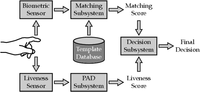 Figure 1 for Multi-Modal Fingerprint Presentation Attack Detection: Evaluation On A New Dataset
