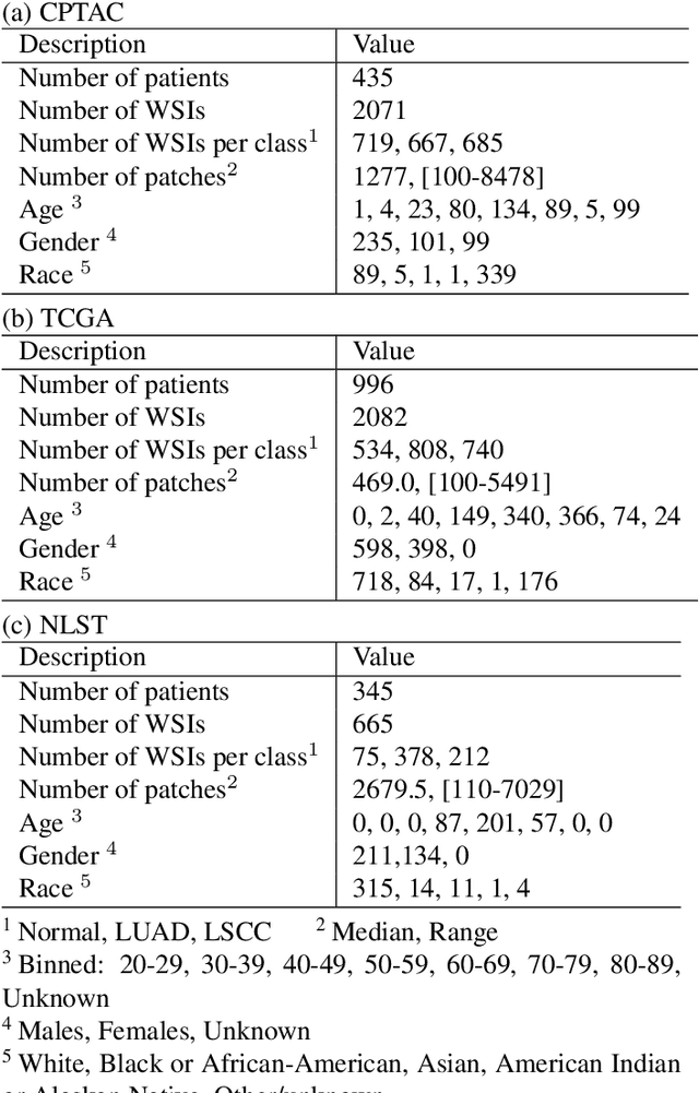 Figure 1 for A graph-transformer for whole slide image classification