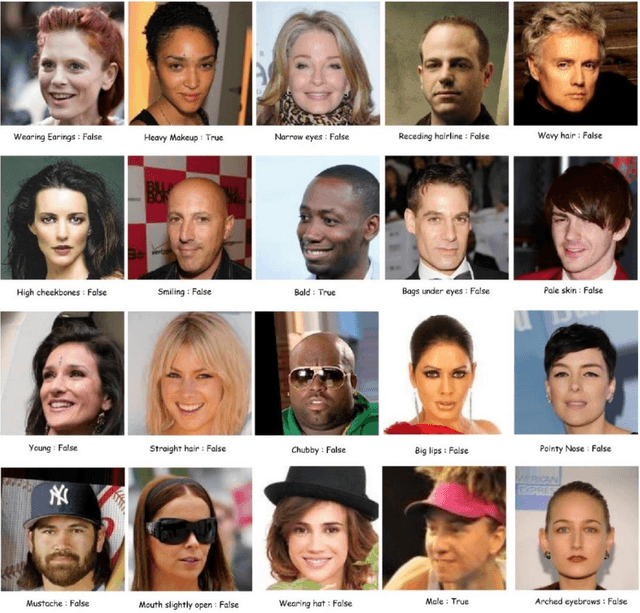 Figure 4 for The pursuit of beauty: Converting image labels to meaningful vectors