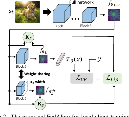 Figure 4 for Local Learning Matters: Rethinking Data Heterogeneity in Federated Learning