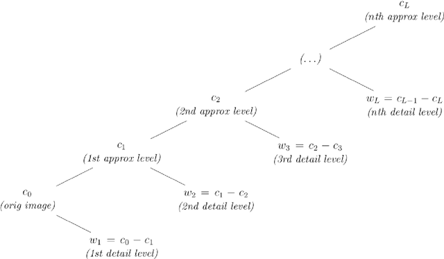 Figure 1 for Jansen-MIDAS: a multi-level photomicrograph segmentation software based on isotropic undecimated wavelets
