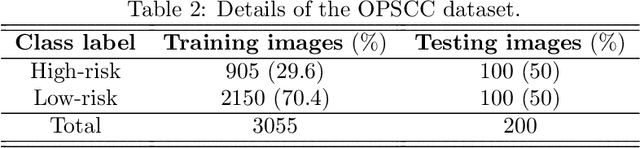 Figure 3 for A novel adversarial learning strategy for medical image classification
